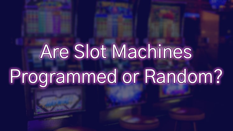 Are Slot Machines Programmed or Random?